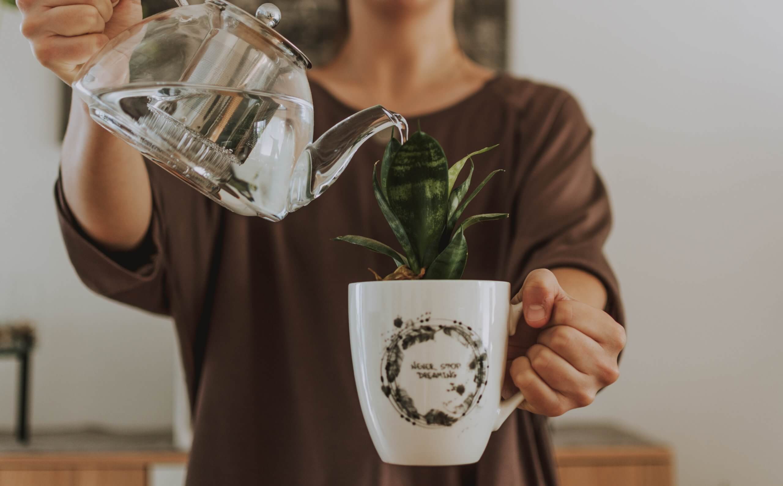 feedback-like-watering-plant