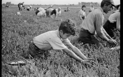 The Past, Present & Future of Child Labor Laws